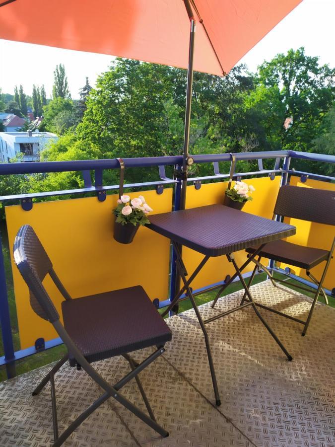 Helles Apartment Mit Balkon Am Grossen Garten Nahe Stadtzentrum Дрезден Экстерьер фото